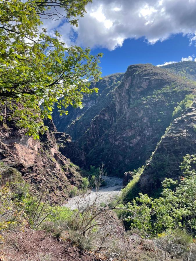 Gite De La Mairie Des Gorges De Daluis Exterior foto